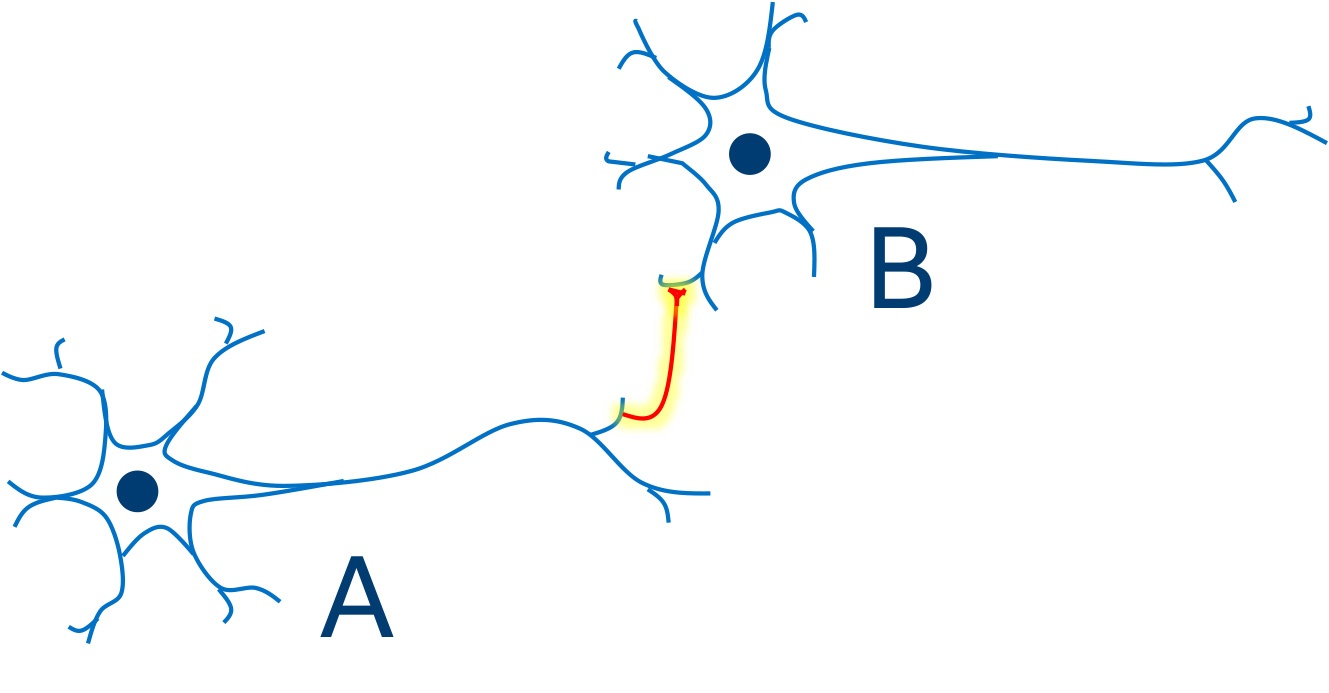 Principled Neural Architecture Learning - Intel AI